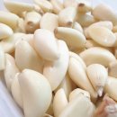 주야농장 이미지