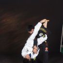 타이거 주짓수 이미지