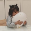 오해피데이유치원