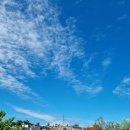 미소1반 🐌🦋🐝(드높고 맑은하늘 아래에서~)🐞🐜 이미지