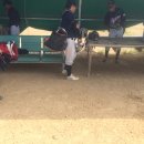 풍영산업 이미지