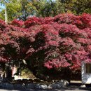 문수사 승강장 이미지