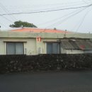 오조리-1 이미지