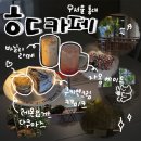 단연Gallery | 층마다 매력이 다른 홍대 대형카페, [ㅎㄷ카페]
