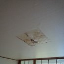 옥동전기철물 이미지