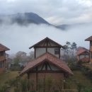 강빛사랑 이미지