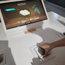 무안생태갯벌과학관 이미지