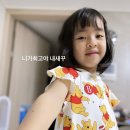 할스타일 이미지