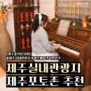 평화로 | 사진 찍다가 지칠 정도로 역대급 제주실내관광지 [제주홀릭뮤지엄] 솔직한 후기