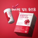 빨간통피자 | 신봉선 빨간캡슐 후기 | 푸드올로지 콜레올로지 컷 10일분 솔직 리뷰