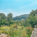 아름다운밀양농장 이미지