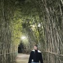 안성면 게이트볼장 1 | 대구 매화꽃명소 월곡역사공원, 3월꽃구경추천 달서구 산책하기좋은곳 밤에본매화후기