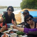 솜니움트리 이미지