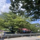 촌락슈퍼 이미지