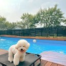 도화별장 | 청주숙소 추천 도화별장 방문자 찐 후기