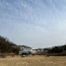 멍뛰멍 | 파주 뛰뛰멍 애견운동장 애견카페 오픈런 솔직후기