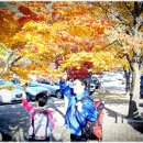 무릉1공원 이미지