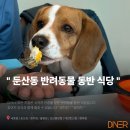 가평군청 2청사 (2층) | 대전 둔산동 맛집 '다이너 대전둔산점' 내돈내산 후기｜정부청사역 데이트·모임 레스토랑 추천🍝🥩