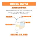 이태원 프리덤~ 레트로 개항로! 최초가 많은레트로 골목길 도보여행 이미지