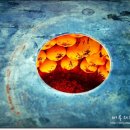 옹기만두 이미지