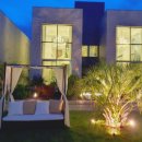 에다모니아 이미지