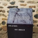 남사예담촌 이씨고가 이미지