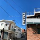 동산한약방 - 강릉시 경강로2015번길 28 | 동산한약방