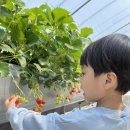 태완농장 이미지