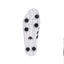 슈퍼스타 이미지