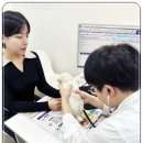 도그라이프 대구강아지분양 | 대구강아지분양 행복한 하루