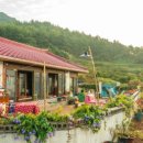 인춘당약국 이미지