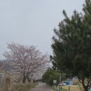 리버12펜션 이미지