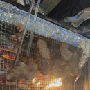 고은집펜션독채 이미지