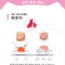 태민동물병원 이미지