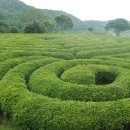 화순골망태 이미지