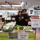 강남채소