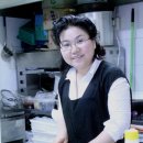 안양초등학교1 이미지