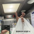 크로스핏겜블 이미지