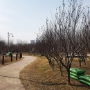 동산자원 이미지