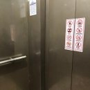 호텔 감(HOTEL GAM) | 중국 대련 우호광장 머큐어 호텔 투숙 후기 Mercure Hotel Dalian