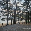 꾸지나무골해수욕장 | 태안 꾸지나무골 해수욕장 EDM 찐 언더그라운드 페스티벌 후기