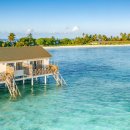 몰디브 | 사우스 팜 리조트 몰디브 | South Palm Maldives