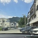 울산착한동물병원 이미지