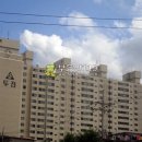 포돌이길 이미지