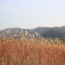 신답리 고분 화장실 이미지