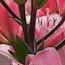 ♡ 잔이 물을 얻으려면 주전자보다도 더 낮아져야 한다 // ■ 寸覺 (촌각) 이미지