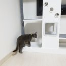 pet160누4273 | BPF캣타워 사용 후기