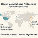 이미개 농장 이미지