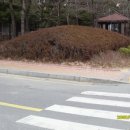 인계동 162 이미지