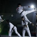 경일태권도 이미지